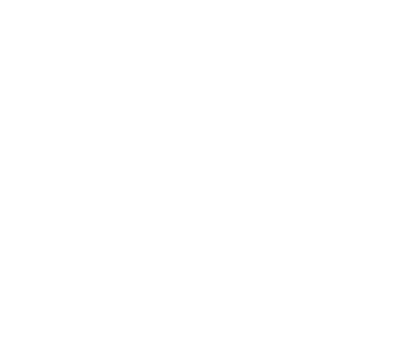 Air Jordan