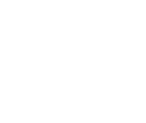 Air Jordan