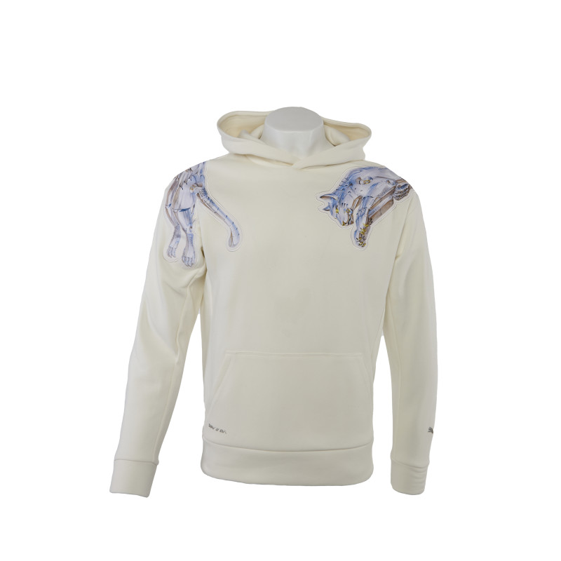 Худи Puma
